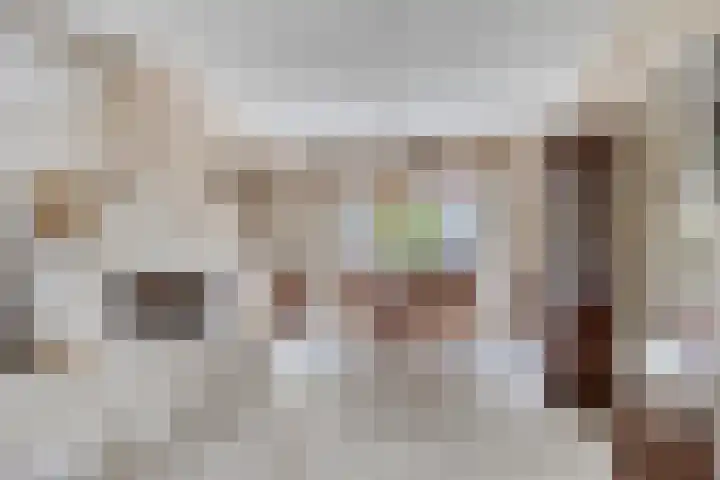Johan de Wittstraat 2 Zwolle thumbnail 9