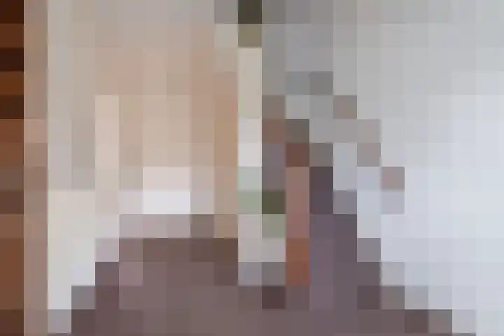 Johan de Wittstraat 20 Sneek thumbnail 12