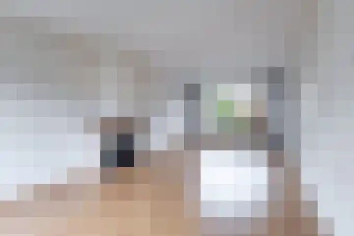 Johan de Wittstraat 20 Sneek thumbnail 14