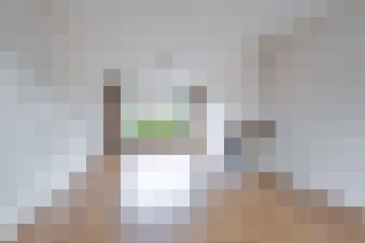 Johan de Wittstraat 20 Sneek thumbnail 16