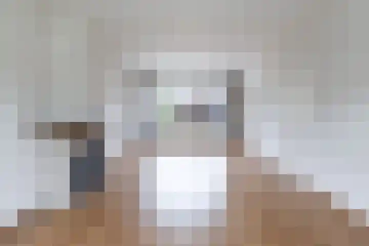 Johan de Wittstraat 20 Sneek thumbnail 17