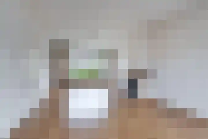 Johan de Wittstraat 20 Sneek thumbnail 20