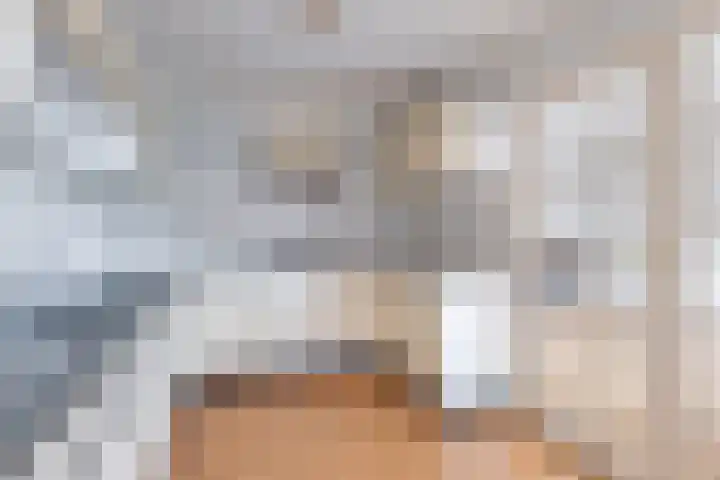 Johan de Wittstraat 20 Sneek thumbnail 21