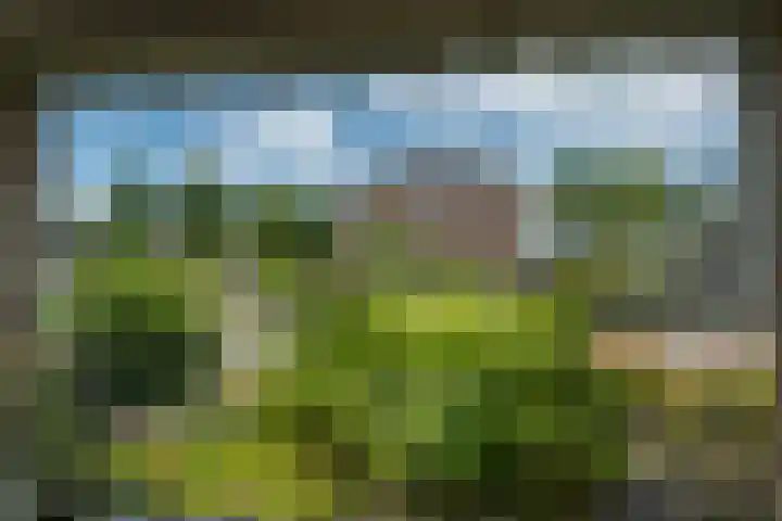 Johan de Wittstraat 20 Sneek thumbnail 24
