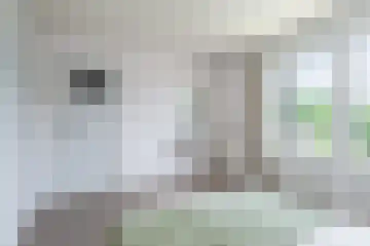 Johan de Wittstraat 20 Sneek thumbnail 32