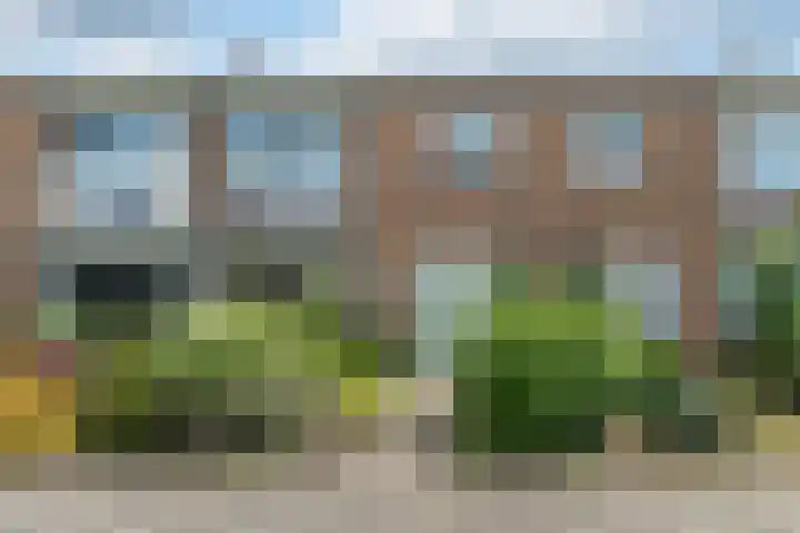 Johan de Wittstraat 20 Sneek thumbnail 54