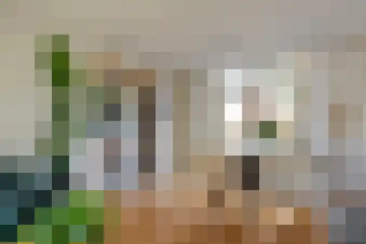 Johan de Wittstraat 22 Zwolle thumbnail 11