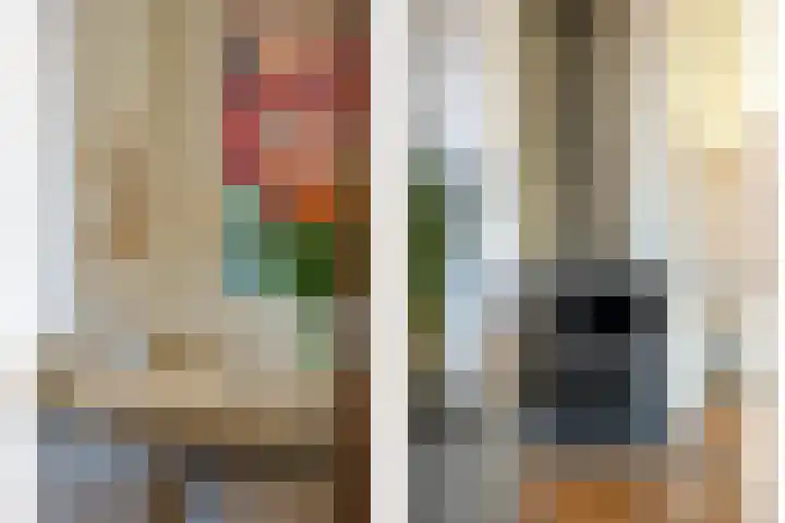 Johan de Wittstraat 22 Zwolle thumbnail 13