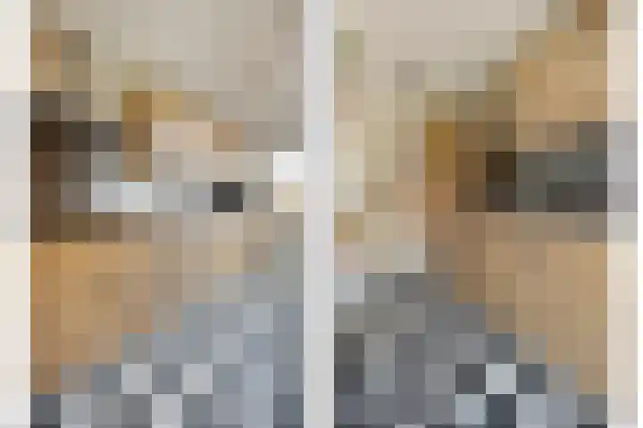 Johan de Wittstraat 22 Zwolle thumbnail 15