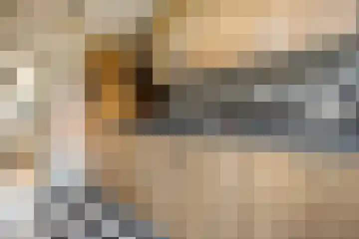 Johan de Wittstraat 22 Zwolle thumbnail 16