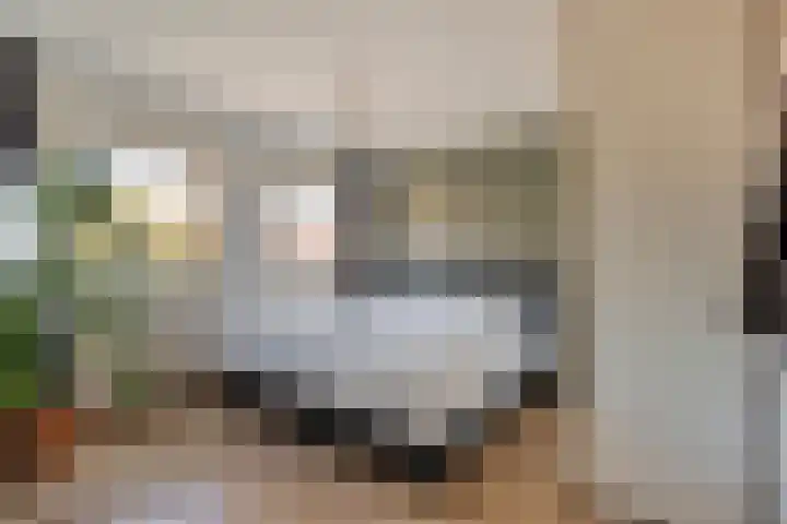 Johan de Wittstraat 22 Zwolle thumbnail 19
