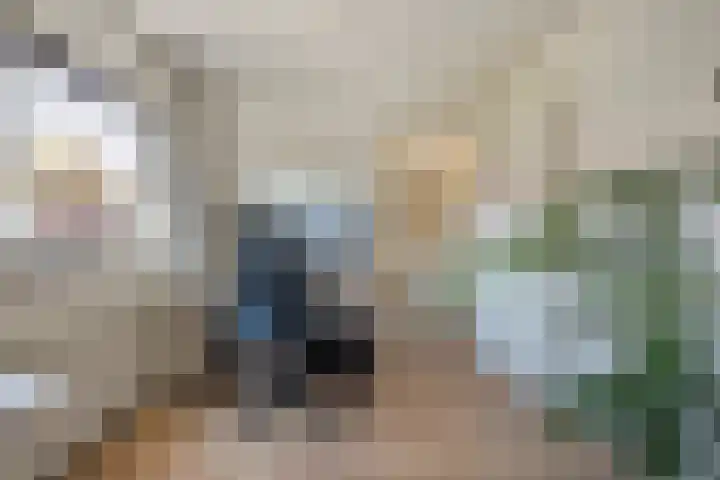 Johan de Wittstraat 22 Zwolle thumbnail 22