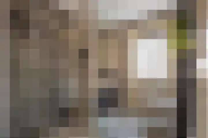 Johan de Wittstraat 22 Zwolle thumbnail 23