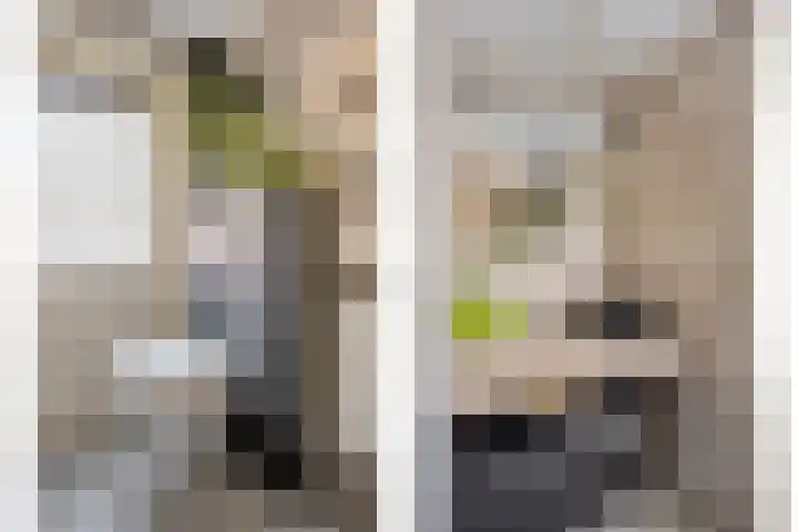 Johan de Wittstraat 22 Zwolle thumbnail 25