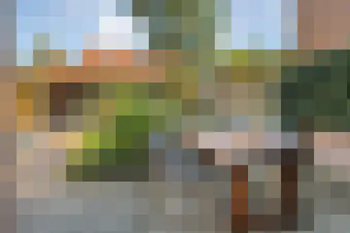 Johan de Wittstraat 22 Zwolle thumbnail 29