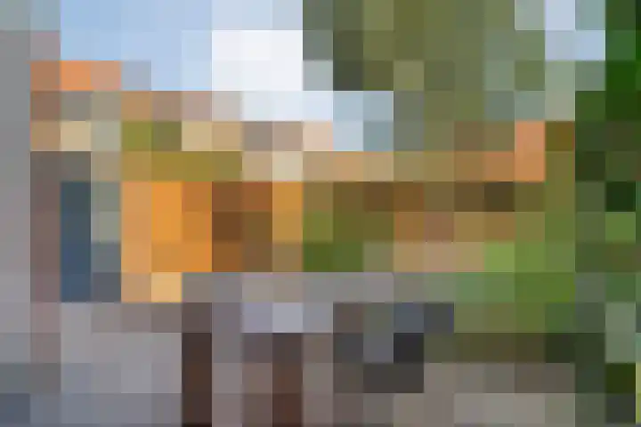 Johan de Wittstraat 22 Zwolle thumbnail 30