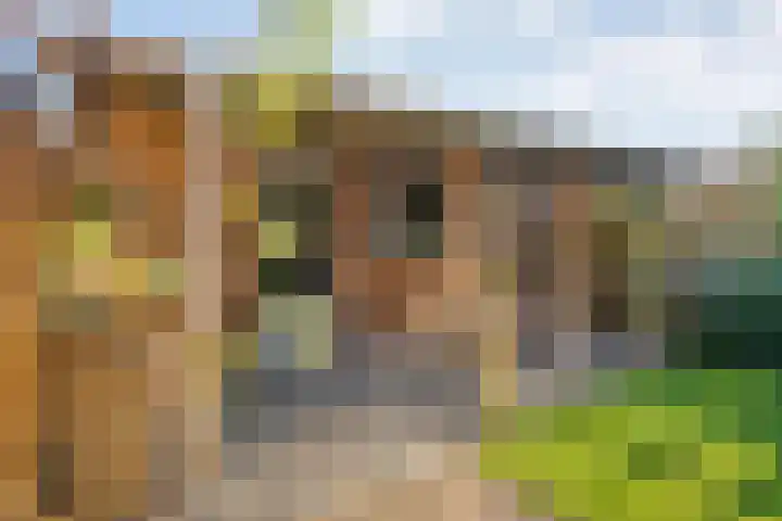 Johan de Wittstraat 22 Zwolle thumbnail 31