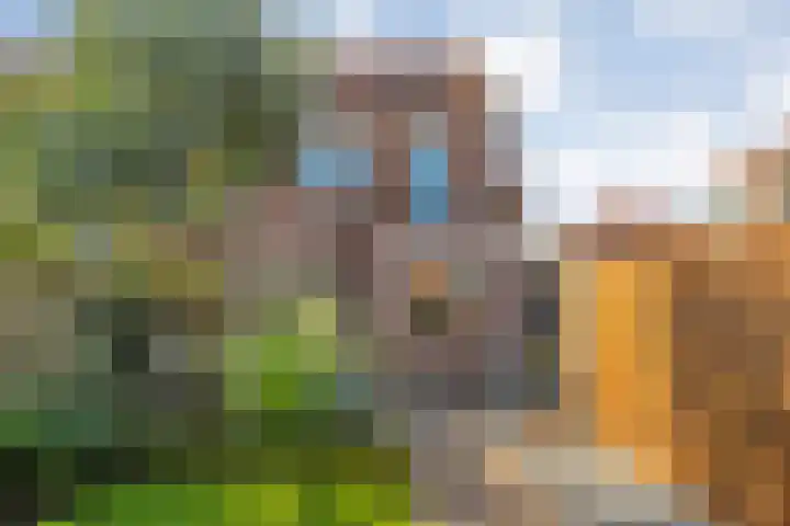 Johan de Wittstraat 22 Zwolle thumbnail 33