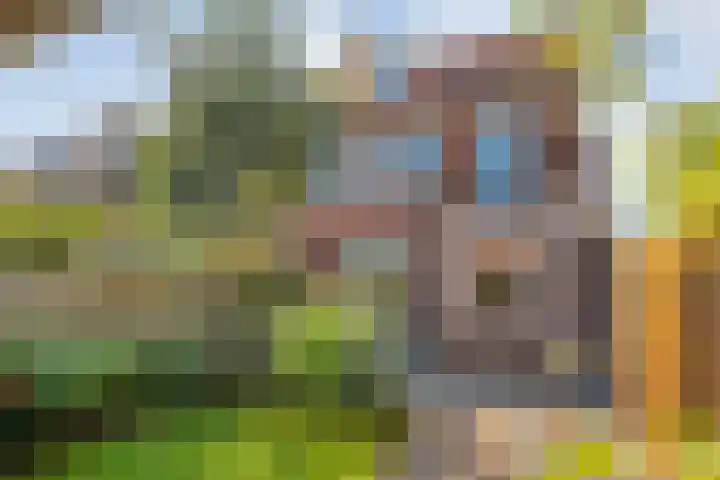 Johan de Wittstraat 22 Zwolle thumbnail 34