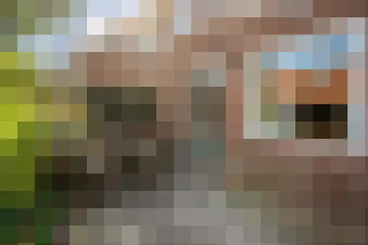 Johan de Wittstraat 22 Zwolle thumbnail 35