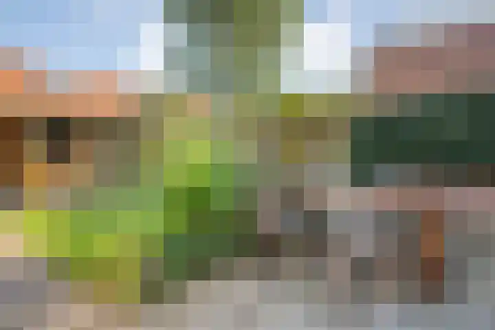 Johan de Wittstraat 22 Zwolle thumbnail 36
