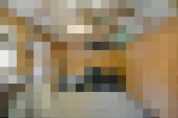 Johan de Wittstraat 22 Zwolle thumbnail 37