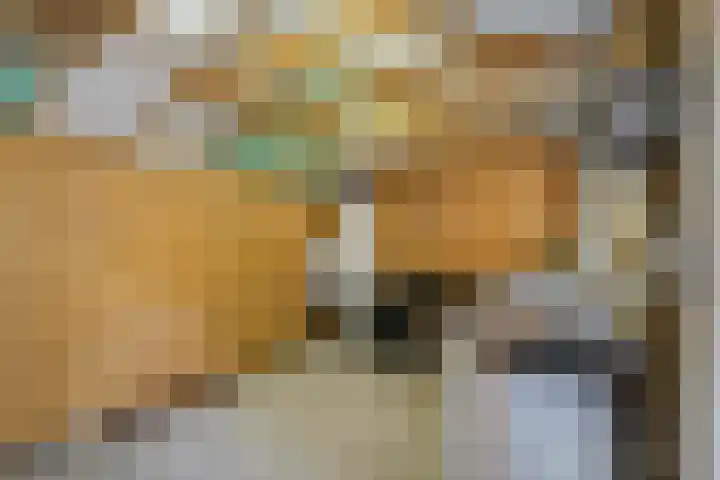 Johan de Wittstraat 22 Zwolle thumbnail 38