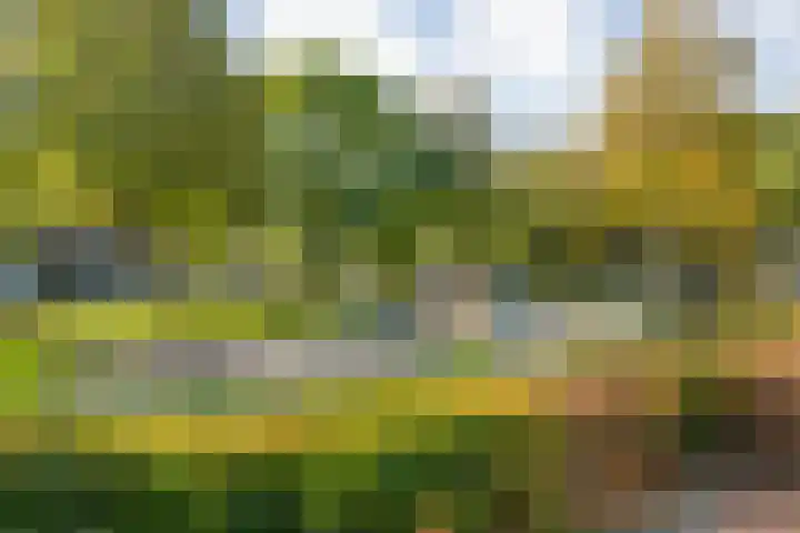 Johan de Wittstraat 22 Zwolle thumbnail 39