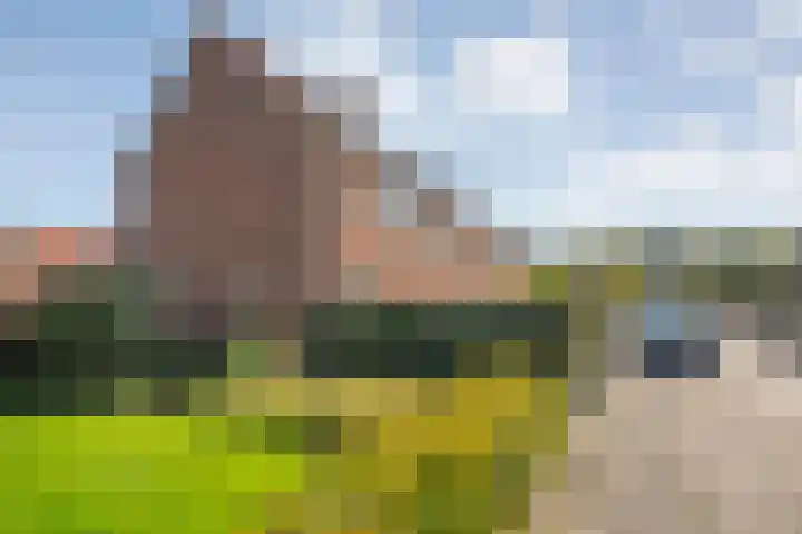Johan de Wittstraat 22 Zwolle thumbnail 4