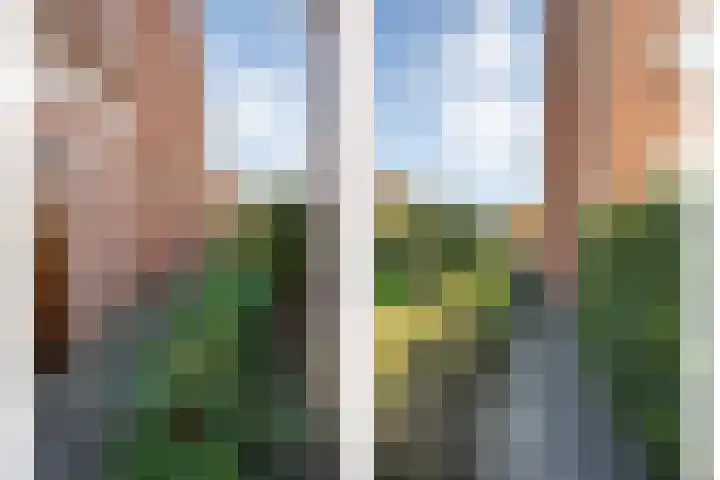 Johan de Wittstraat 22 Zwolle thumbnail 5