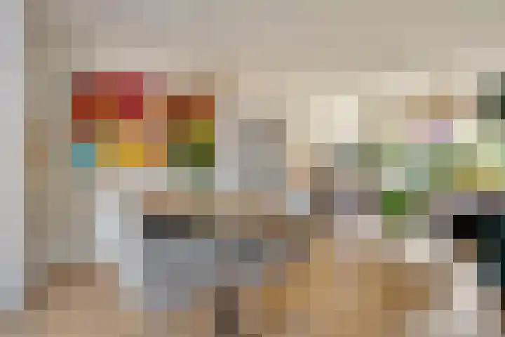 Johan de Wittstraat 22 Zwolle thumbnail 8