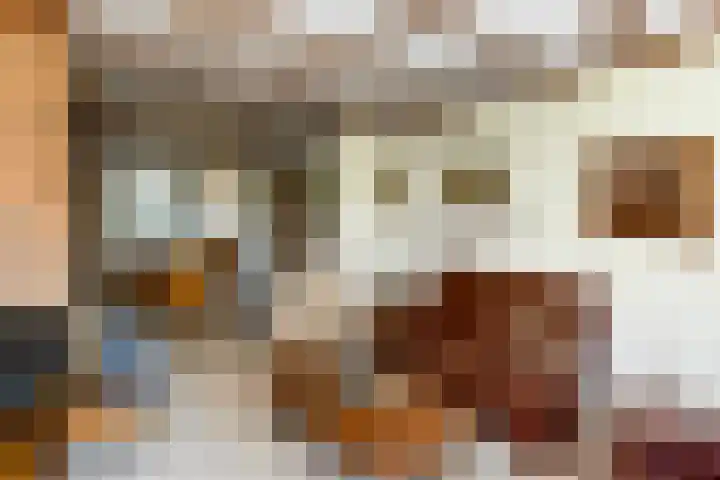 Johan de Wittstraat 23 Elst thumbnail 10