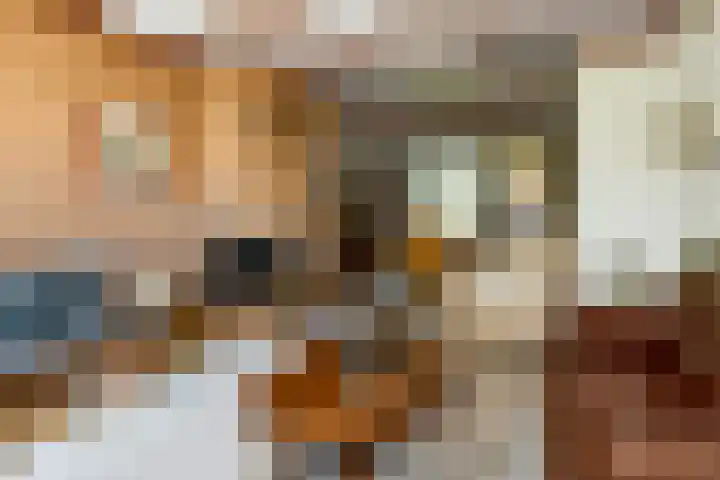 Johan de Wittstraat 23 Elst thumbnail 11