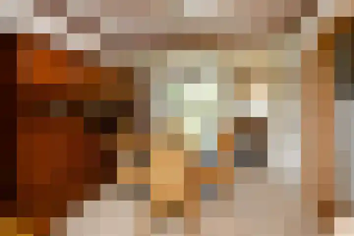 Johan de Wittstraat 23 Elst thumbnail 12