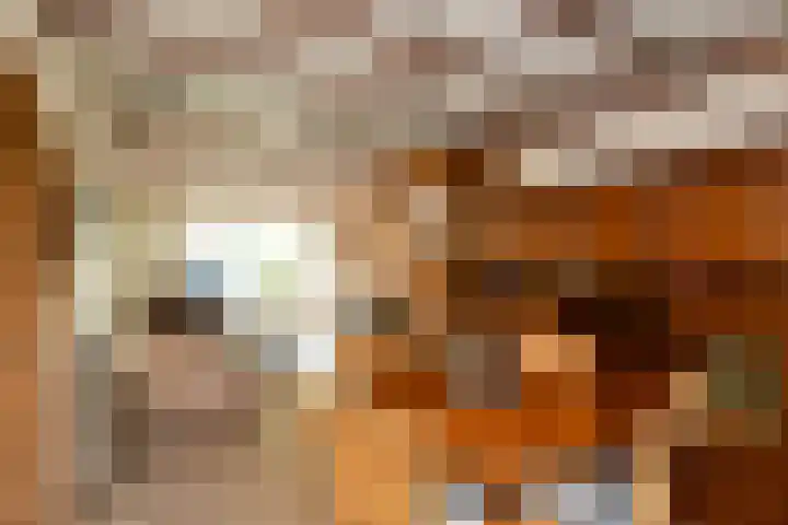 Johan de Wittstraat 23 Elst thumbnail 13