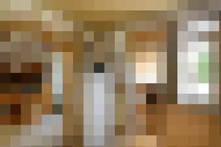 Johan de Wittstraat 23 Elst thumbnail 14
