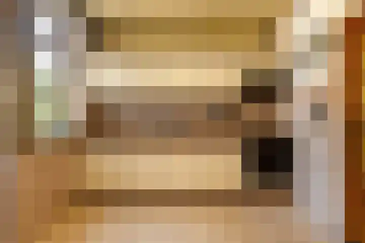 Johan de Wittstraat 23 Elst thumbnail 17
