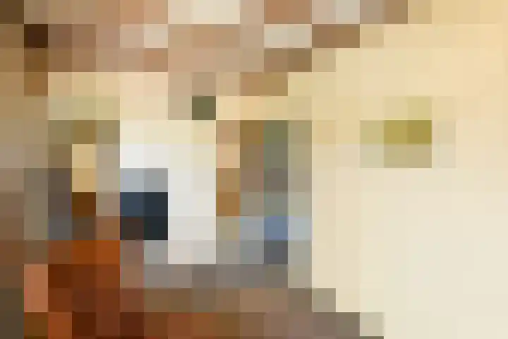 Johan de Wittstraat 23 Elst thumbnail 19