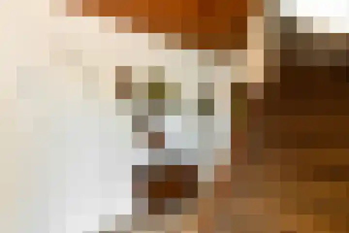 Johan de Wittstraat 23 Elst thumbnail 21