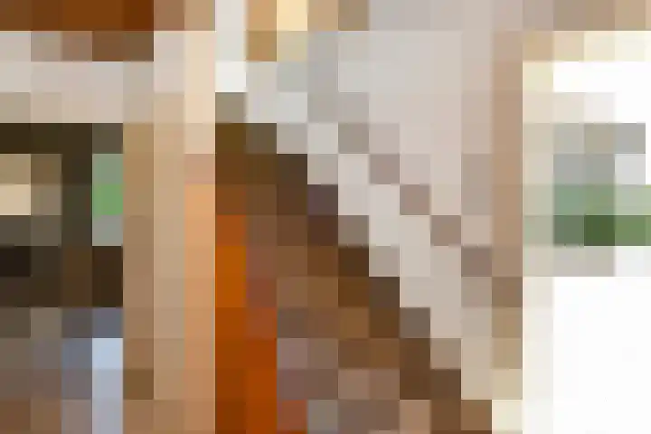 Johan de Wittstraat 23 Elst thumbnail 22