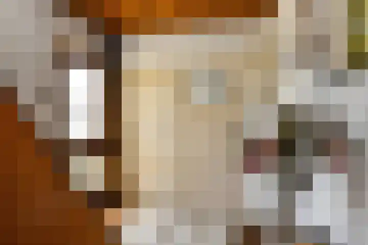 Johan de Wittstraat 23 Elst thumbnail 23
