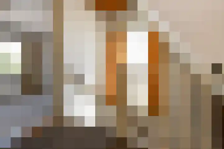 Johan de Wittstraat 23 Elst thumbnail 24
