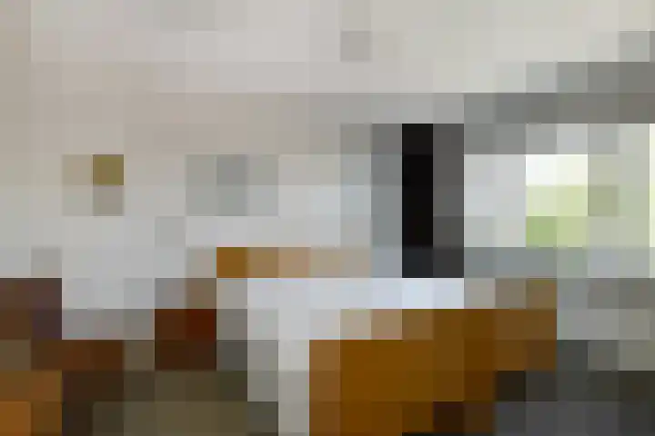 Johan de Wittstraat 23 Elst thumbnail 25