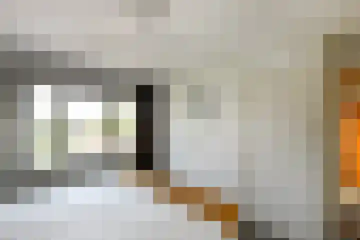 Johan de Wittstraat 23 Elst thumbnail 26