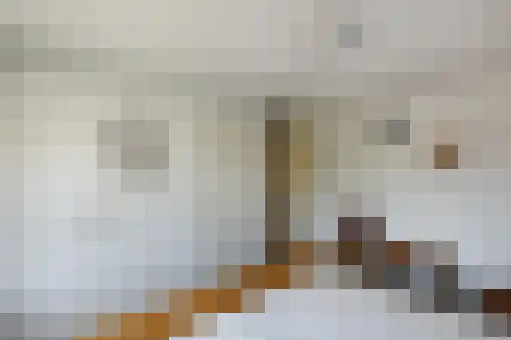 Johan de Wittstraat 23 Elst thumbnail 27