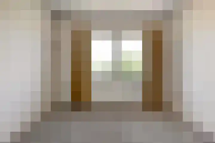 Johan de Wittstraat 23 Elst thumbnail 28