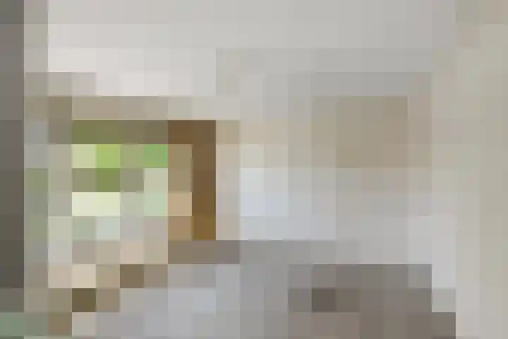Johan de Wittstraat 23 Elst thumbnail 29
