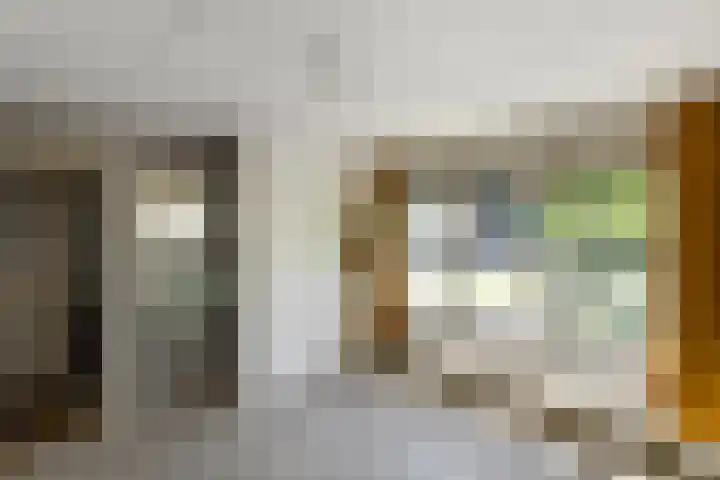 Johan de Wittstraat 23 Elst thumbnail 30