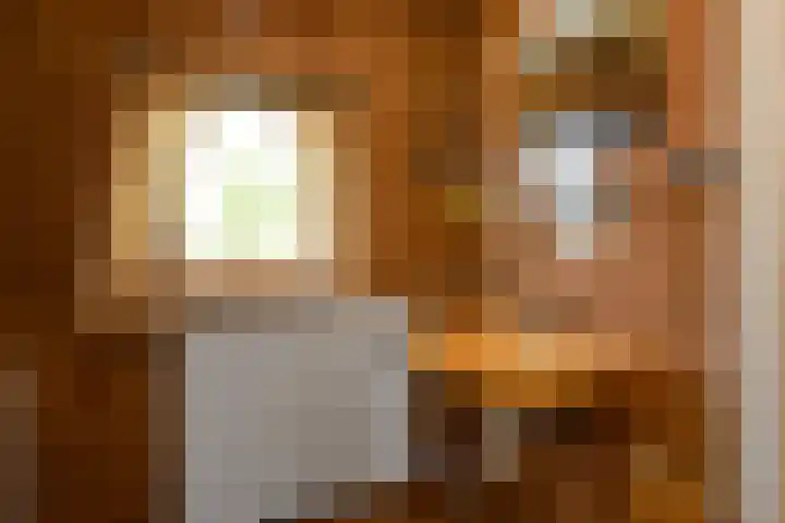 Johan de Wittstraat 23 Elst thumbnail 31