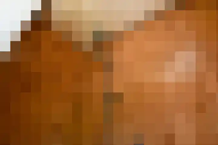 Johan de Wittstraat 23 Elst thumbnail 32